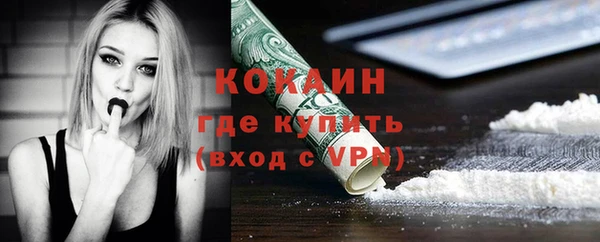 индика Липки