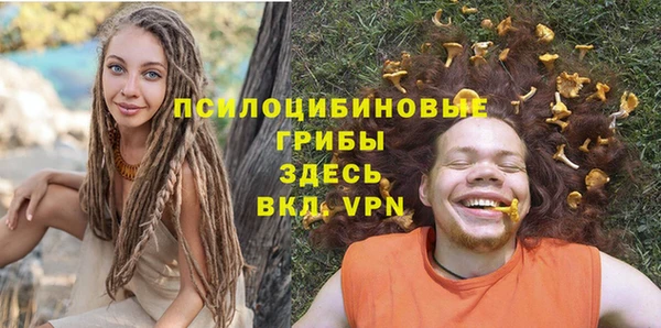 индика Липки