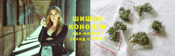 стаф Ладушкин
