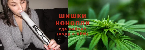 индика Липки