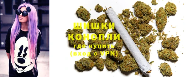 индика Липки