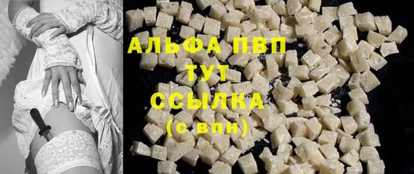 индика Липки