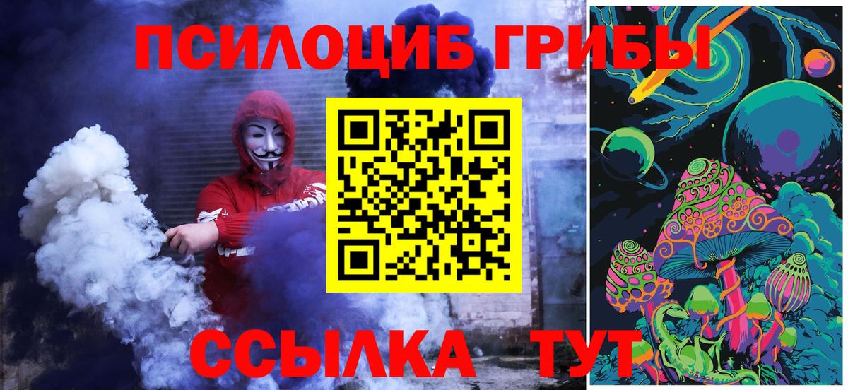 Галлюциногенные грибы MAGIC MUSHROOMS  Вход с VPN  Костомукша  Псилоцибиновые грибы Cubensis 