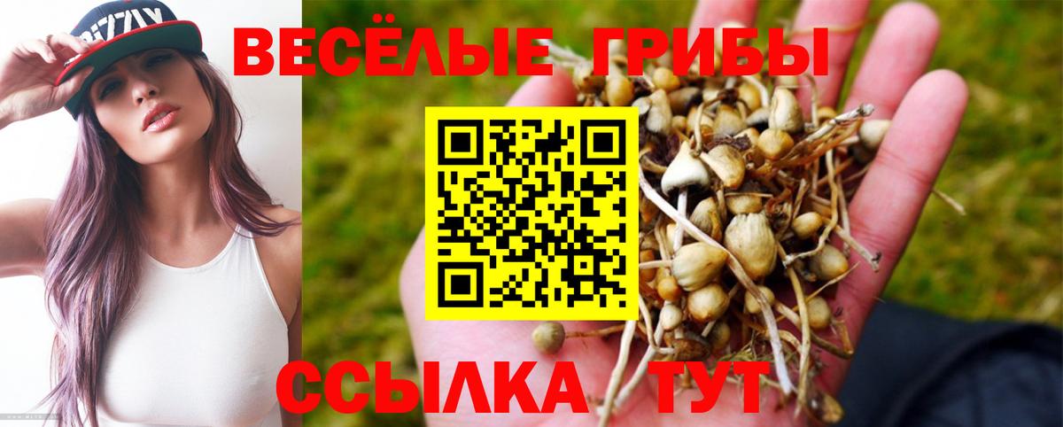 Галлюциногенные грибы мухоморы Костомукша