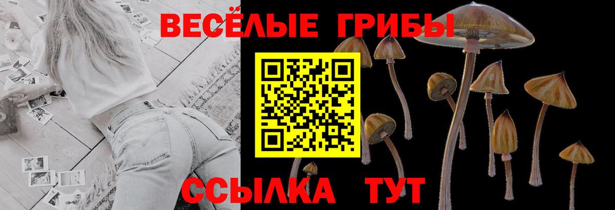 Псилоцибиновые грибы мухоморы Костомукша